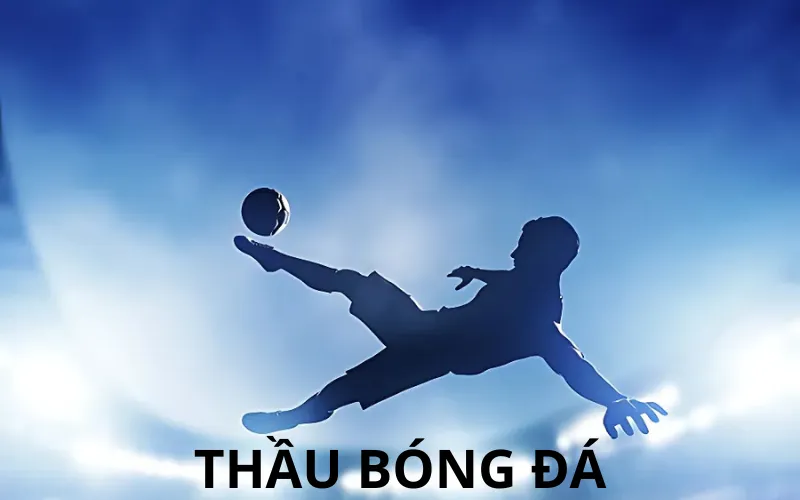 Thầu bóng đá