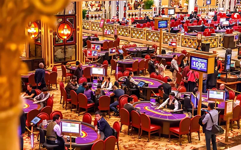 Giấc Mơ Macao