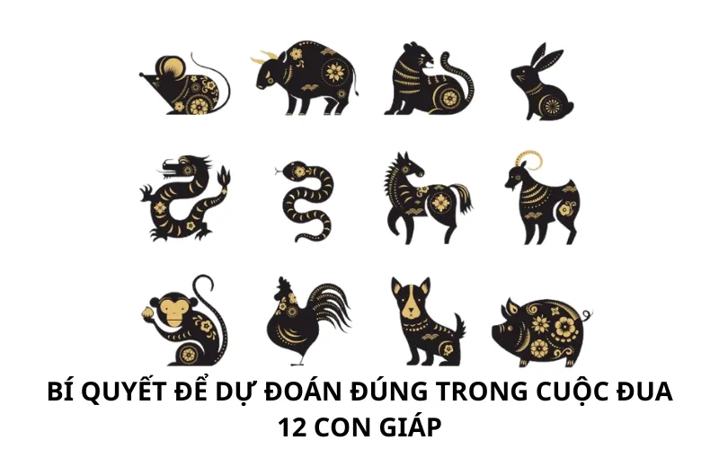 Bí Quyết Để Dự Đoán Đúng Trong Cuộc Đua 12 Con Giáp