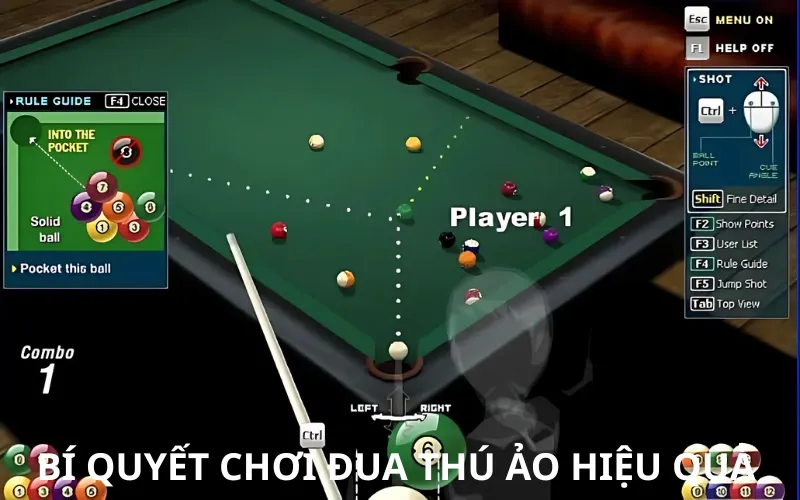 Các mẹo giúp người chơi cá cược Bida